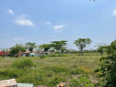 Bán đất thổ cư 100% sổ riêng sẵn, sang tên ngay tại Ora Park Đức Hòa