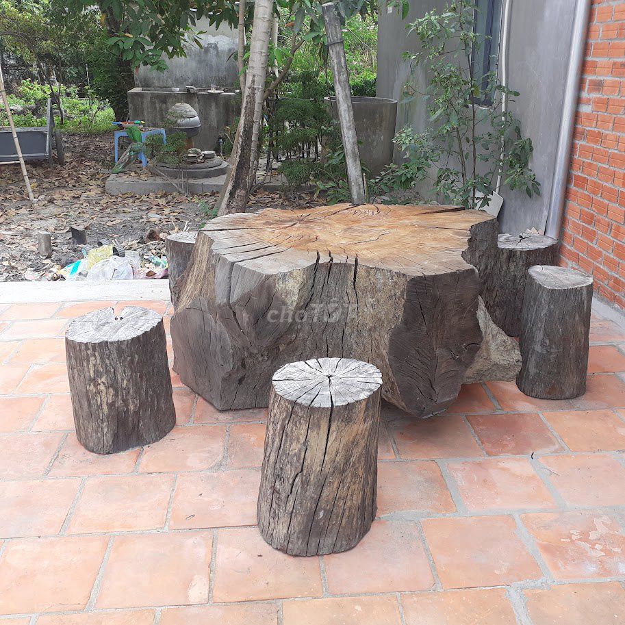 Bàn gốc cây gỗ dầu nguyên khối 1,4m Tặng 5 ghế đôn. Mua bán Bàn ghế tại Huyện Hòa Thành Tây Ninh được đăng bởi Bui Trong Nghia hình 1