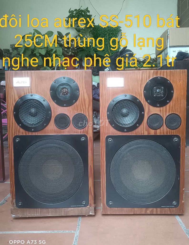 Bán đôi loa cho AE về nghe nhạc hát karaoke Tết