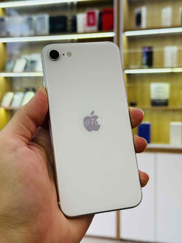 Apple iPhone SE 2020 64GB Trắng Đẹp Keng Fullzin. Mua bán Điện thoại tại Quận Thanh Khê Đà Nẵng được đăng bởi Thương Mobile hình 1