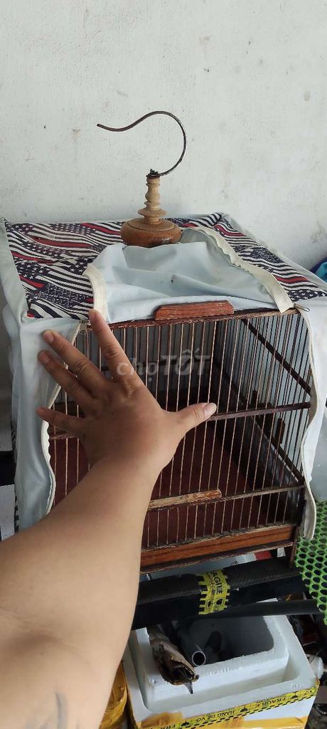 Lồng chim chào mào màu nâu. Mua bán Phụ kiện, Thức ăn, Dịch vụ tại Huyện Trảng Bàng Tây Ninh được đăng bởi CÁ CẢNH TB hình 1