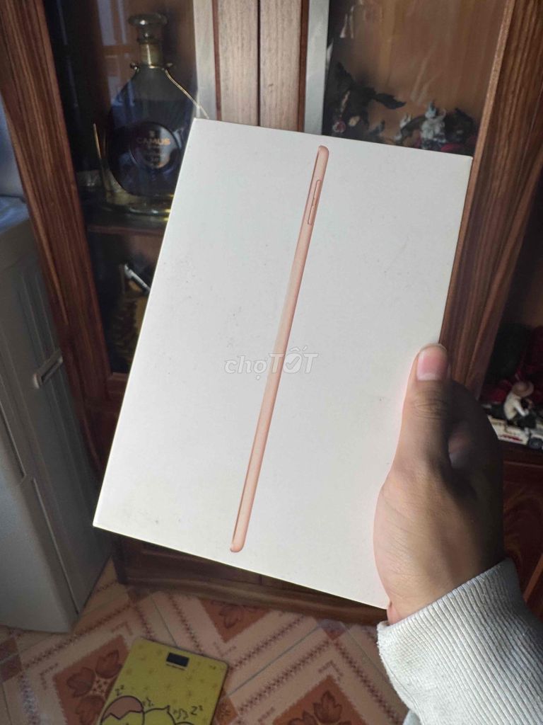 iPad Mini 5 256gb 4g rose fullbox pin 100