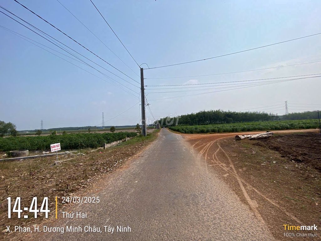 Bán 1600m2 đất tại xã Chà Là huyện Dương Minh Châu. Mua bán đất tại Huyện Dương Minh Châu Tây Ninh được đăng bởi Thanh Lý Tài Sản hình 4