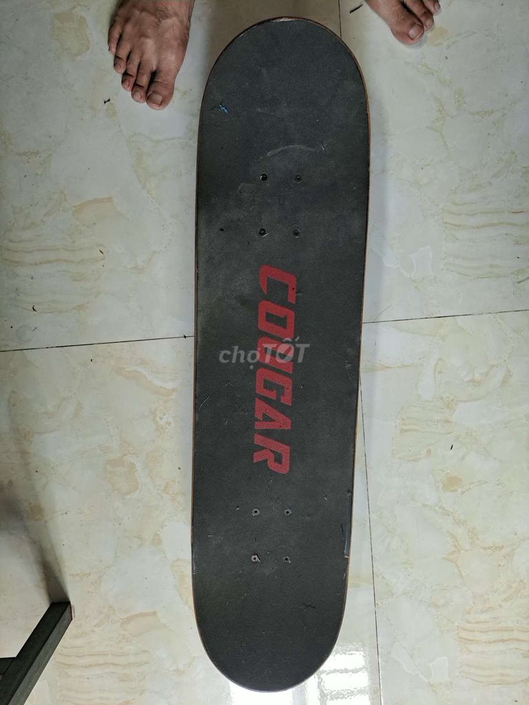Ván trượt Cougar Gỗ Đen, Xanh. Mua bán Đồ thể thao, Dã ngoại tại Quận 12 Tp Hồ Chí Minh được đăng bởi Nguyễn An Thái hình 1