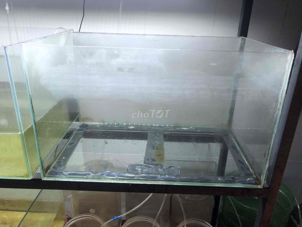 Hồ 50*30*30 kính 5 li, đáy 7li