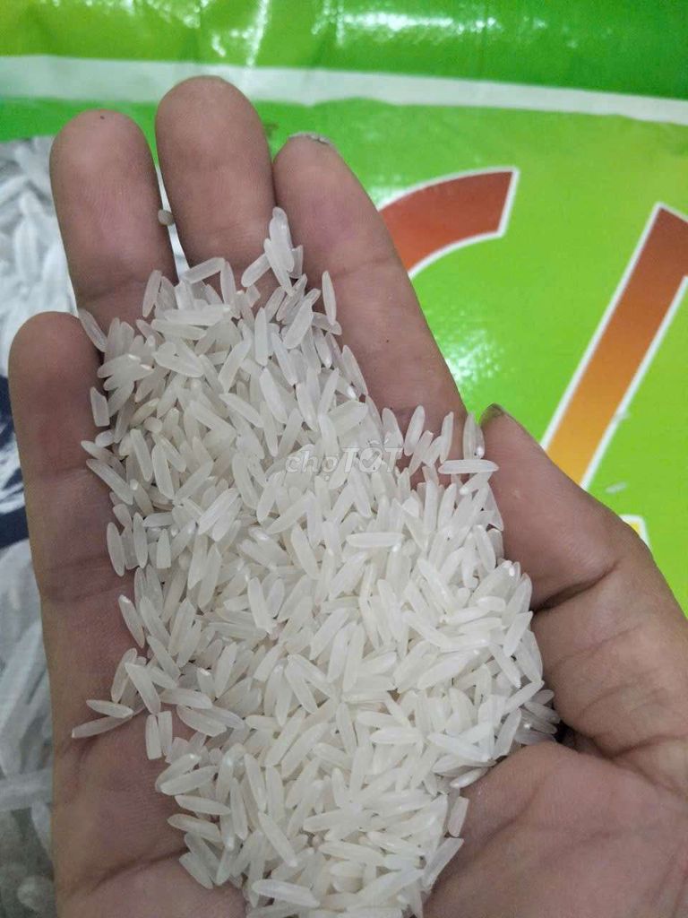 Gạo ST 25 Sóc Trăng 25kg. Mua bán Đồ ăn, thực phẩm và các loại khác tại Quận Cái Răng Cần Thơ được đăng bởi Nguyễn Thị Ngọc Thảo hình 1