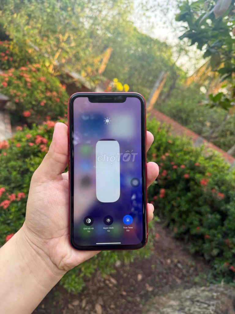 Apple iPhone Xr 64GB Đỏ Đã sử dụng. Mua bán Điện thoại tại Thành phố Vĩnh Long Vĩnh Long được đăng bởi Phúc Vinh hình 1
