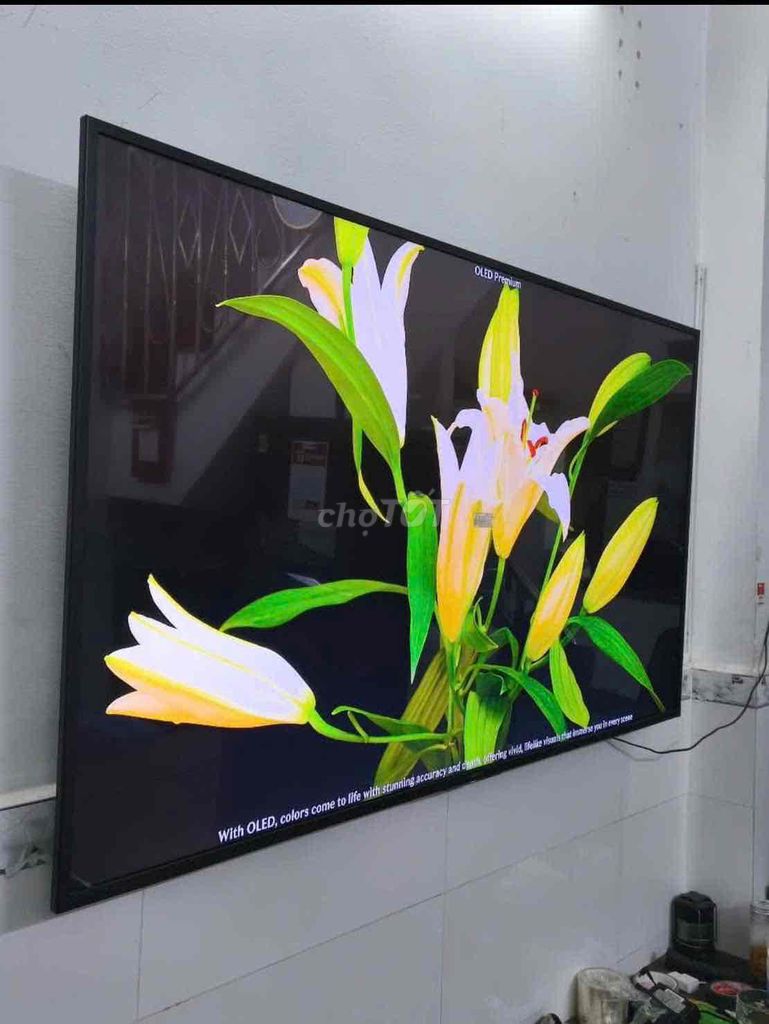 Trả nhà đi thuê phòng nhỏ bán lg 55in 4k zin đẹp