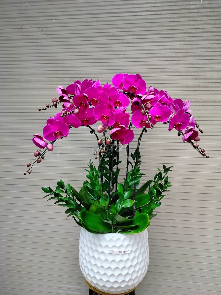 /viec-lam-quan-cau-giay-ha-noi/124560162.htm#px=SR-special_display_ad-[PO-16][PL-default]?i=5