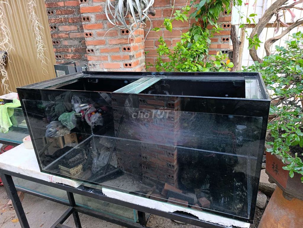 Hồ cá Kính 8li 90x40x40cm. Mua bán Phụ kiện, Thức ăn, Dịch vụ tại Thị xã Phú Mỹ Bà Rịa - Vũng Tàu được đăng bởi Pets  hình 1