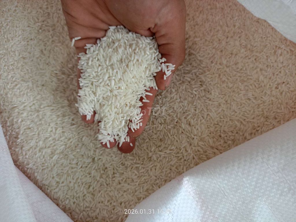 Gạo ST25 50kg. Mua bán Đồ ăn, thực phẩm và các loại khác tại Huyện Cai Lậy Tiền Giang được đăng bởi Huy hình 1
