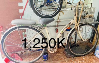 bán xe đạp
