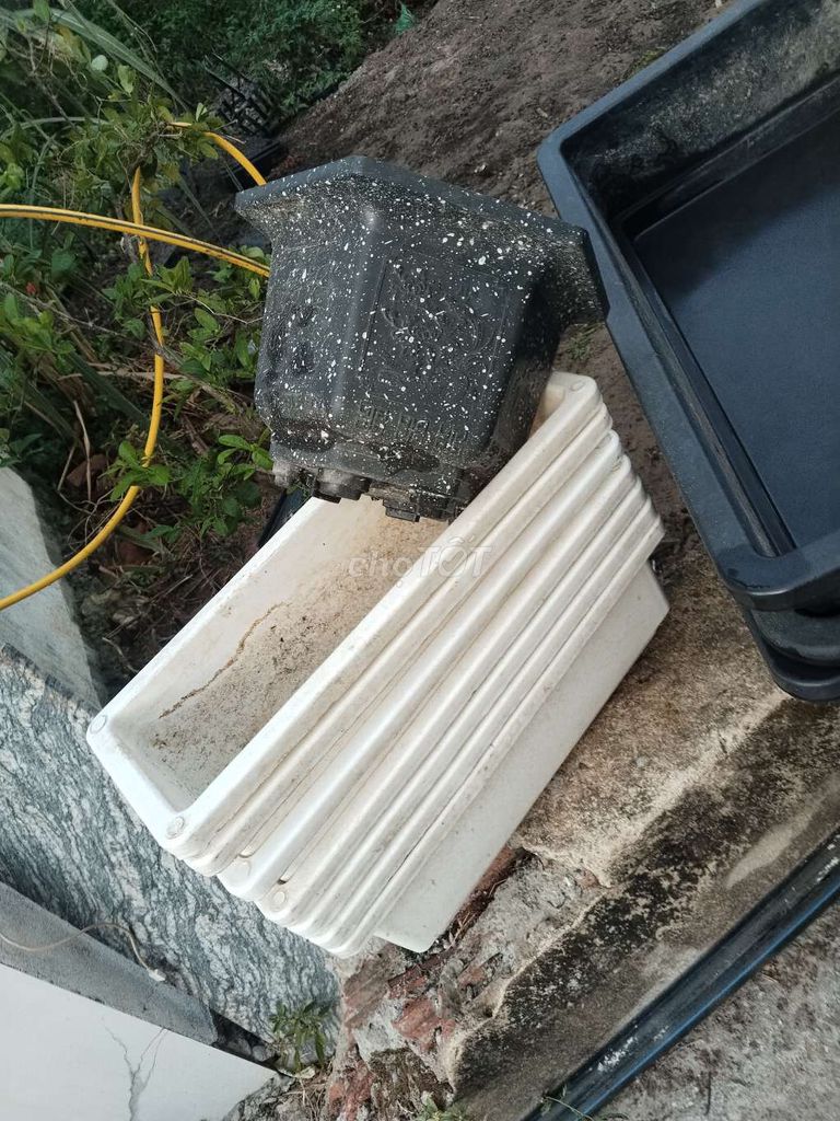 Chậu trồng cây Nhựa Đen, Trắng. Mua bán Cây cảnh, đồ trang trí tại Thị xã Điện Bàn Quảng Nam được đăng bởi Phú Đinh hình 1