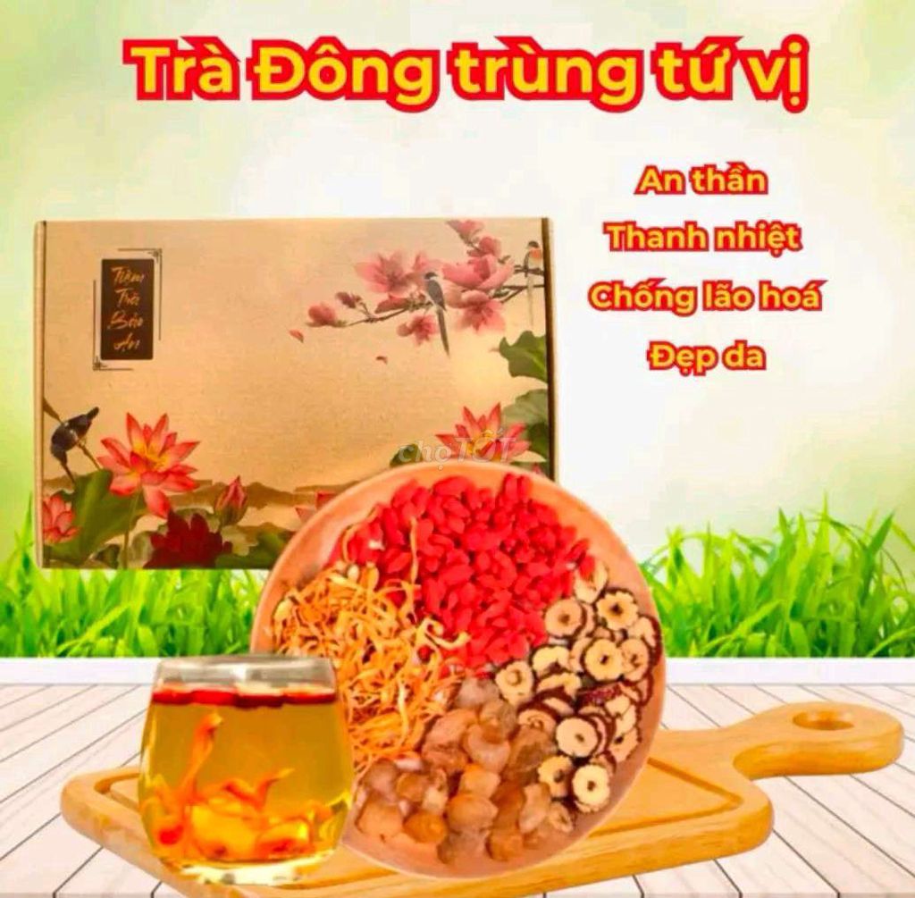 Trà đông trùng hạ thảo tứ vị