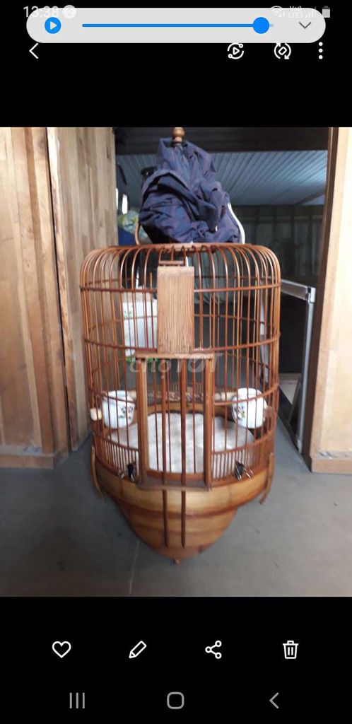 chim.hết còn lồng my mới. Mua bán Chim tại Quận 12 Tp Hồ Chí Minh được đăng bởi than xòe  hình 1