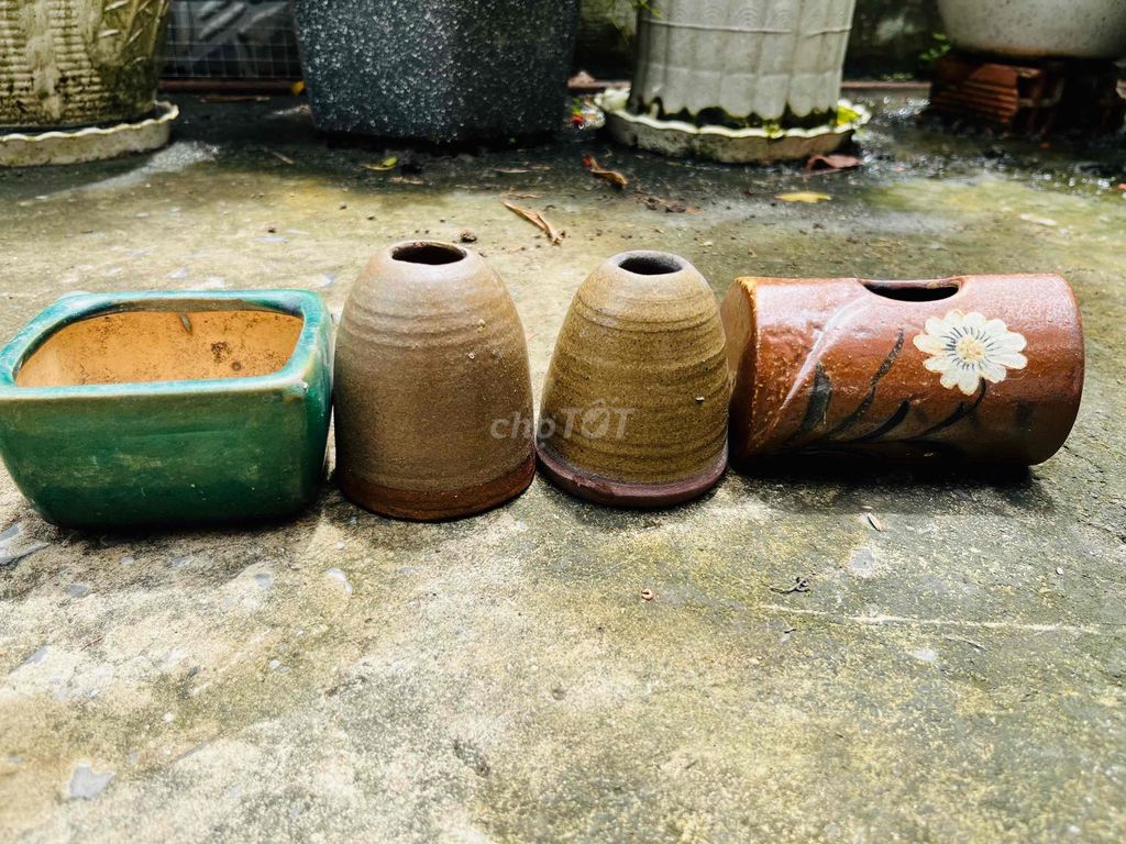 bình hoa và chậu cây mini gốm Bát Tràng. Mua bán Cây cảnh, đồ trang trí tại Thị xã Gò Công Tiền Giang được đăng bởi Tạp Hoá Đồ Cũ hình 1