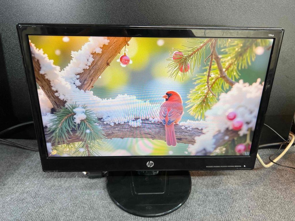 🖥️ Màn hình HP 19” nhỏ gọn tiện lợi