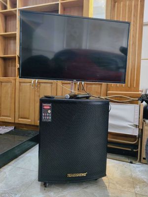 loa Temeisheng tặng kèm tivi 40 inch tcl. Mua bán Tivi, Âm thanh tại Quận Bình Tân Tp Hồ Chí Minh được đăng bởi Digital