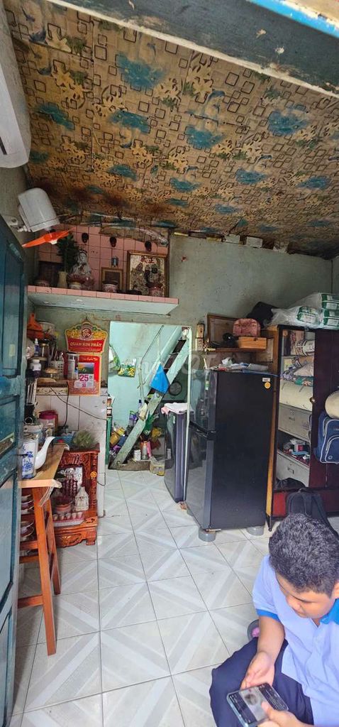 🔥 ДВОРЕЦ, РАЙОН 11 — СОСНОВАЯ АЛЛЕЯ ДЛИНОЙ 4 М РЯДОМ С РЫНКОМ СИНИХ ПТИЦ 🌹 50ТР