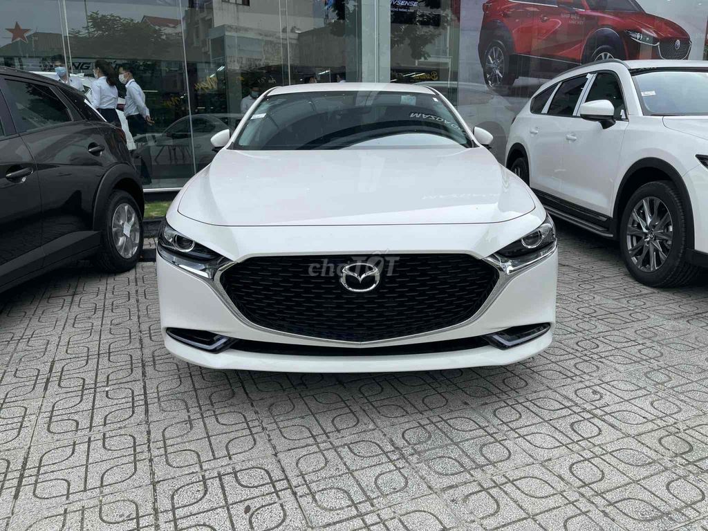 Ảnh số 5