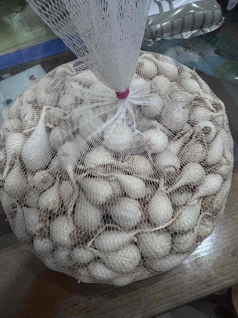Tỏi cô đơn Lý Sơn một tép lên men tỏi đen. Mua bán Đồ ăn, thực phẩm và các loại khác tại Quận Tân Phú Tp Hồ Chí Minh được đăng bởi nguyễn sy quân hình 1