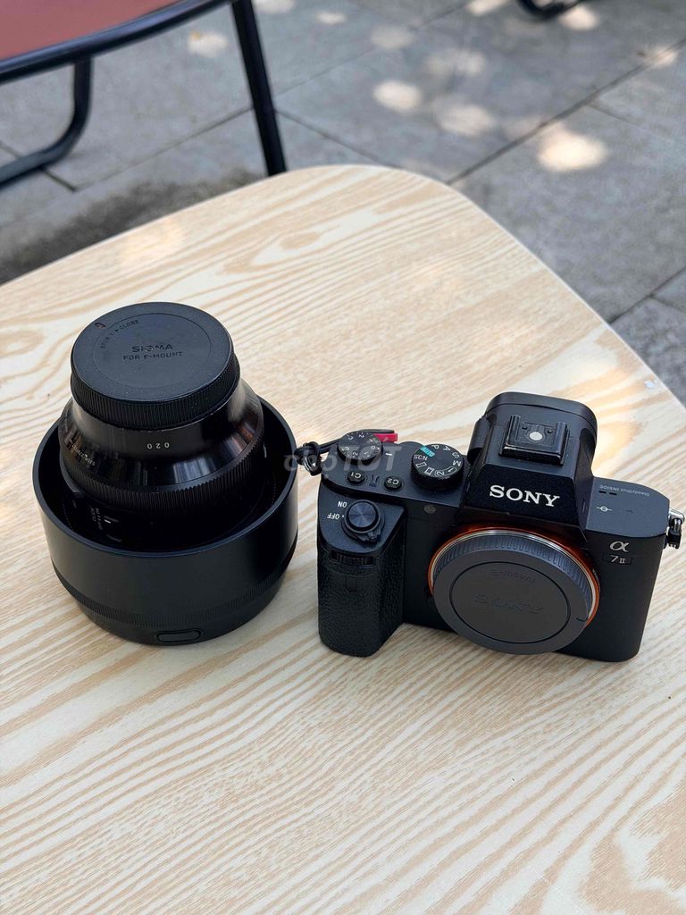 Máy ảnh Sony A7II + Flash Godox (Đã sử dụng). Mua bán Máy ảnh, Máy quay tại Quận Liên Chiểu Đà Nẵng được đăng bởi Duyen Nguyen hình 1