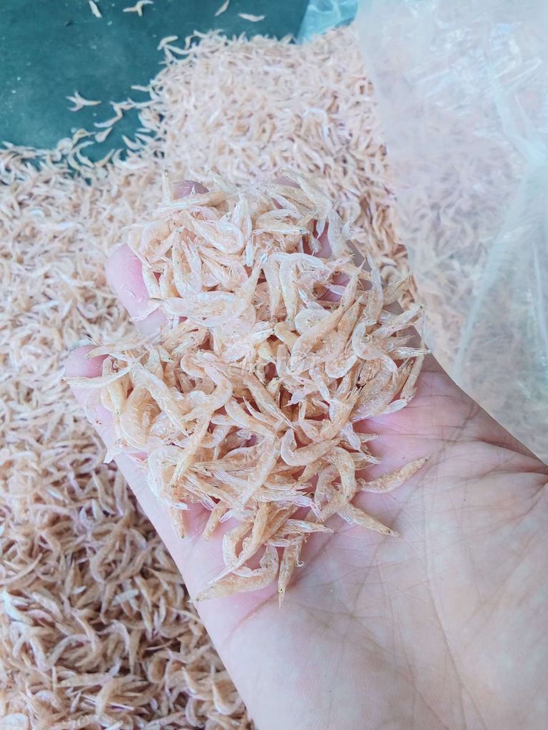 Tép khô Phú Diên - Huế. Mua bán Đồ ăn, thực phẩm và các loại khác tại Huyện Phú Vang Thừa Thiên Huế được đăng bởi Nguyễn Văn Tuất hình 1