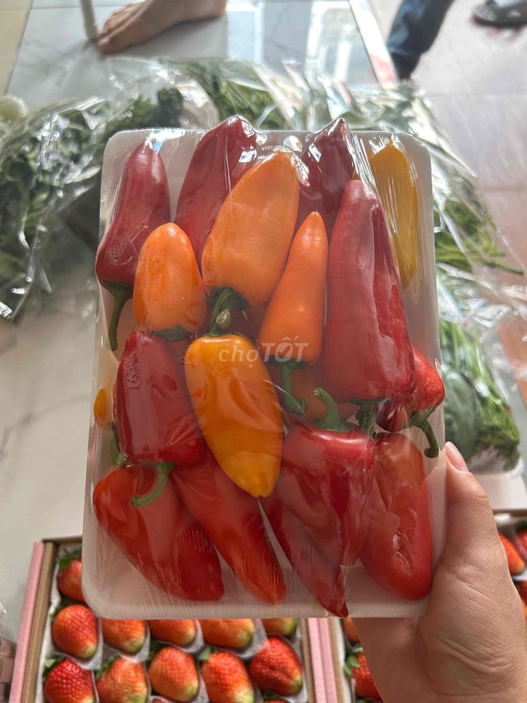 ớt trái cây hay còn gọi là ớt snack ngọt đậm vị. Mua bán Đồ ăn, thực phẩm và các loại khác tại Quận Tân Bình Tp Hồ Chí Minh được đăng bởi Bùi Thị Khanh hình 1