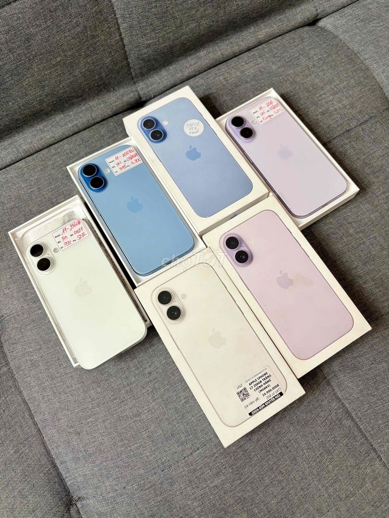 iPhone 17 256GB Trắng/xanh/tím Vn Fullbox BH 03/27. Mua bán Điện thoại tại Quận Đống Đa Hà Nội được đăng bởi Quý Hoàng hình 1