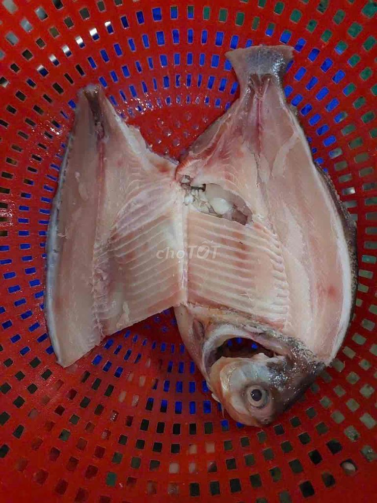Bán Sĩ Cá Chim Nước Ngọt , Thuỷ Sản Đông Lạnh. Mua bán Đồ ăn, thực phẩm và các loại khác tại Quận Gò Vấp Tp Hồ Chí Minh được đăng bởi Thủy Sản Đông Lạnh HCM hình 1