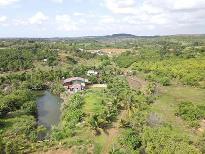 nợ nóng dí tới mông thoát đất vườn ngay trong tuần này gần chợ. Mua bán đất tại Huyện Đắk Mil Đắk Nông được đăng bởi HOÀNG MINH DUYỆT