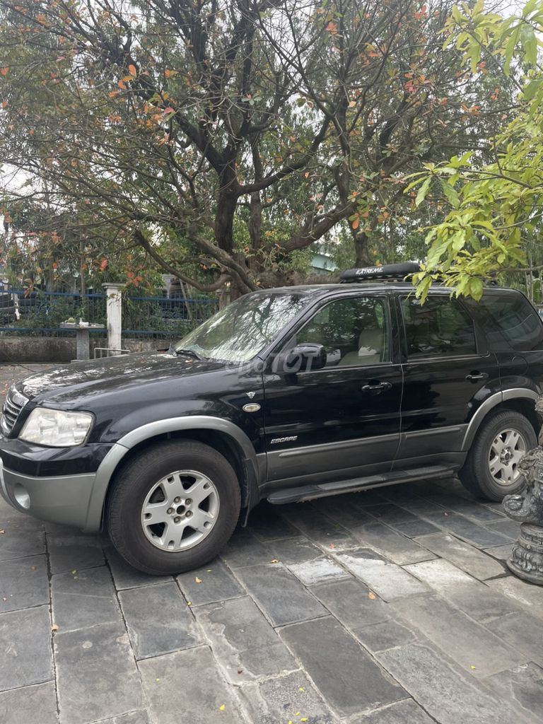 Ảnh số 7