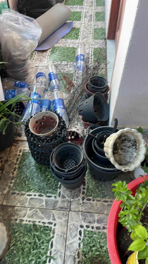 Chậu lan Nhựa Đen, trắng, đỏ. Mua bán Cây cảnh, đồ trang trí tại Thành phố Biên Hòa Đồng Nai được đăng bởi BUI TIEN THANH hình 1