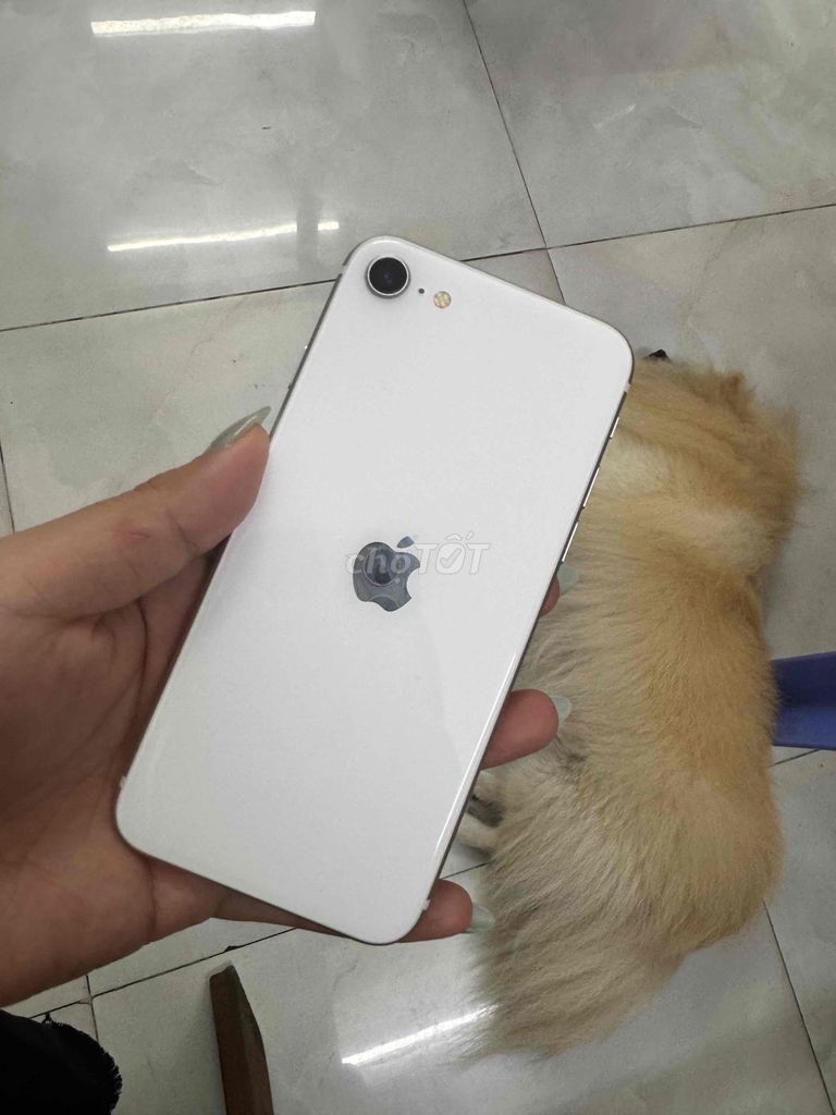 Apple iPhone SE 3 64GB Trắng, đen, đỏ.. Mua bán Điện thoại tại Quận 11 Tp Hồ Chí Minh được đăng bởi Thuthao2907 hình 1