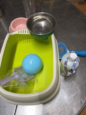 Đồ dùng cho thú cưng. Mua bán Phụ kiện, Thức ăn, Dịch vụ tại Thành phố Thủ Đức Tp Hồ Chí Minh được đăng bởi Họ Nhà Mèo