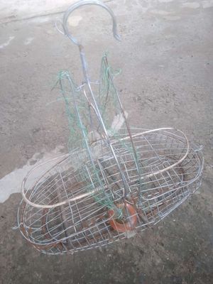 Lụp bẫy chào mào. Mua bán Chim tại Thành phố Thủ Đức Tp Hồ Chí Minh được đăng bởi Longg