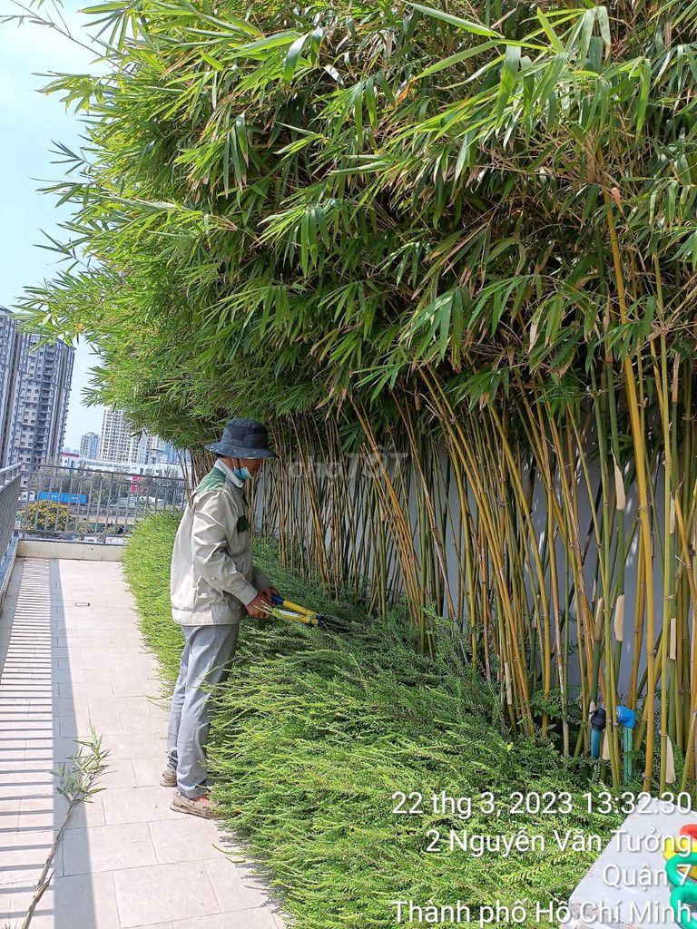 Tuyển dụng và nhân sự chăm sóc cây xanh. Việc làm tại Huyện Nhà Bè Tp Hồ Chí Minh được đăng bởi CTY TNHH CẢNH QUAN TRẺ hình 4
