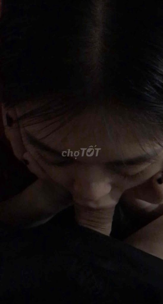 Mèo Anh lông ngắn. Mua bán Mèo tại Huyện Gia Lâm Hà Nội được đăng bởi vietanh hình 1