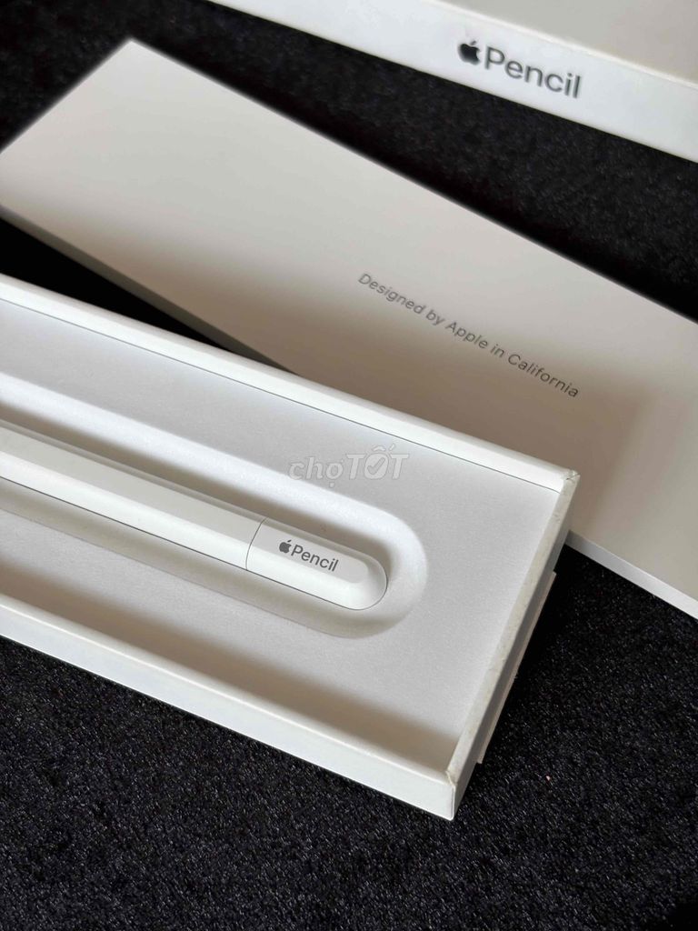 Apple Pencil C 2023