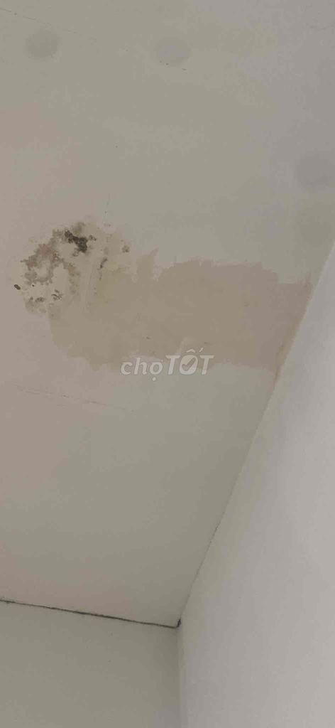 🛠️ NHẬN SƠN NHÀ - CHỐNG THẤM - GIÁ HỢP LÝ 🛠️. Dịch vụ nhà cửa khác tại Quận 7 Tp Hồ Chí Minh được đăng bởi Chống Thấm Sơn Nước Nhà Giá Tốt hình 1