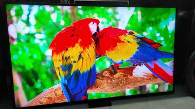 Smart tv tcl 50in 4k giọng nói youtube chạy nhanh