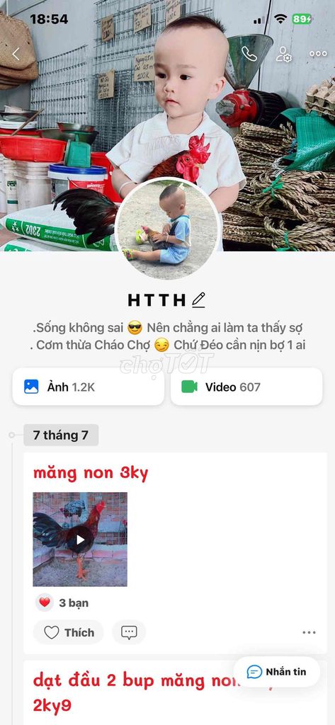 ai mua gà né ra nha lm ăn ko uy tính. Mua bán Gà tại Thành phố Hồng Ngự Đồng Tháp được đăng bởi Trung Hậu hình 1