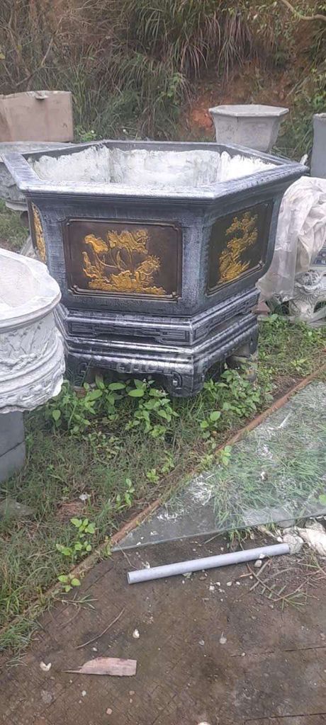 Chậu cảnh giá giao lưu - ĐN. Mua bán Cây cảnh, đồ trang trí tại Huyện Hòa Vang Đà Nẵng được đăng bởi Tran phuoc nhat hình 1