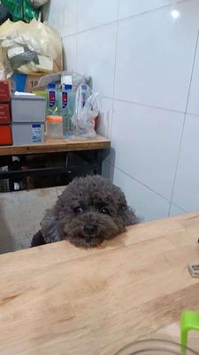 cho thuê nhà 2 tầng ngõ 18 phố hàm long
