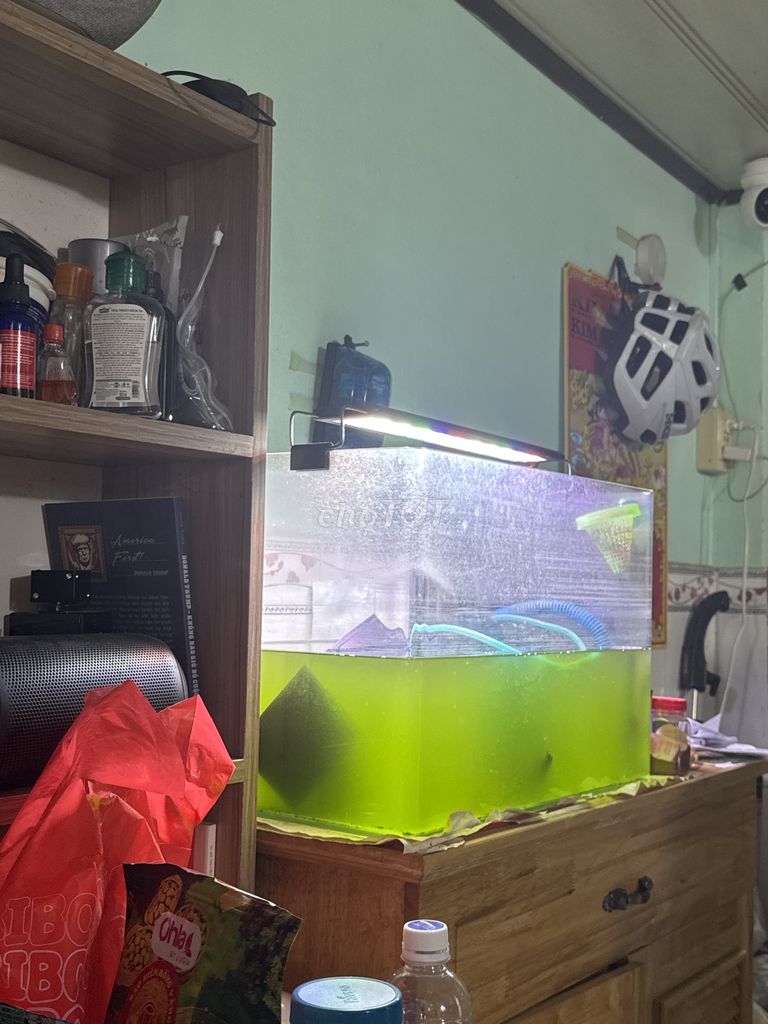 Hồ cá kính trong suốt. Mua bán Phụ kiện, Thức ăn, Dịch vụ tại Quận Gò Vấp Tp Hồ Chí Minh được đăng bởi sang Nguyễn hình 1