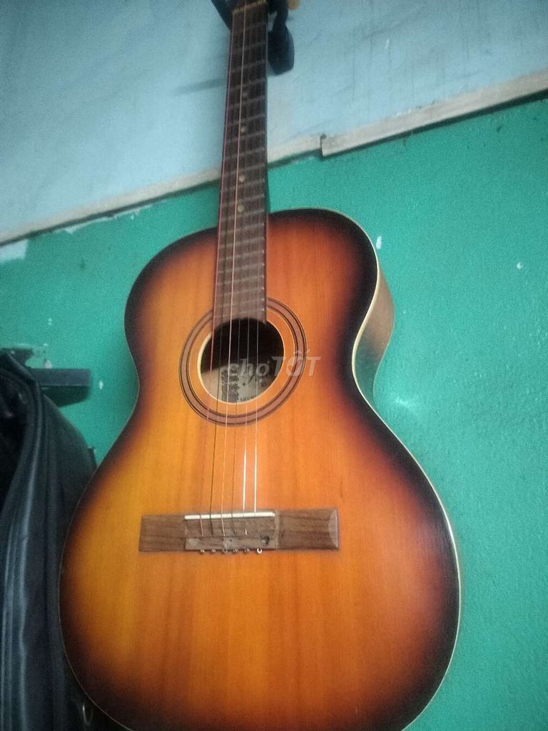 Đàn guitar acco