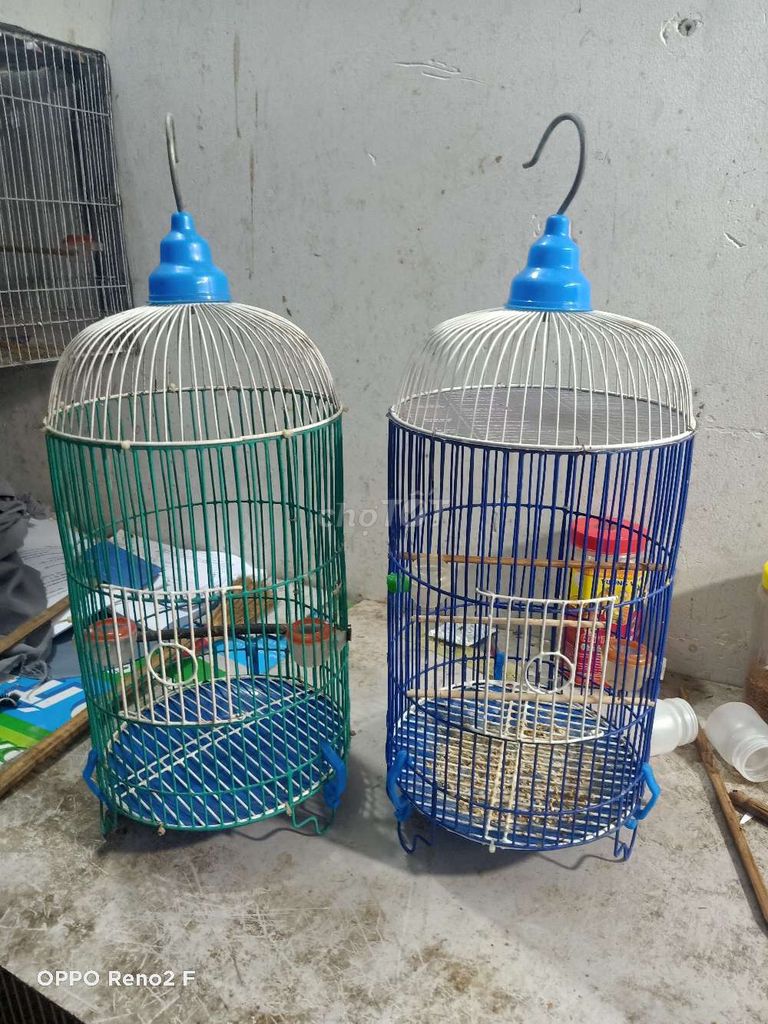 Lồng chim nhựa Xanh lá, Xanh dương, Trắng. Mua bán Chim tại Quận Bình Tân Tp Hồ Chí Minh được đăng bởi Lữ Khách79 hình 1