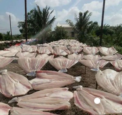 Khô cá dứa 1 nắng. Mua bán Đồ ăn, thực phẩm và các loại khác tại Quận 8 Tp Hồ Chí Minh được đăng bởi Nguyệt