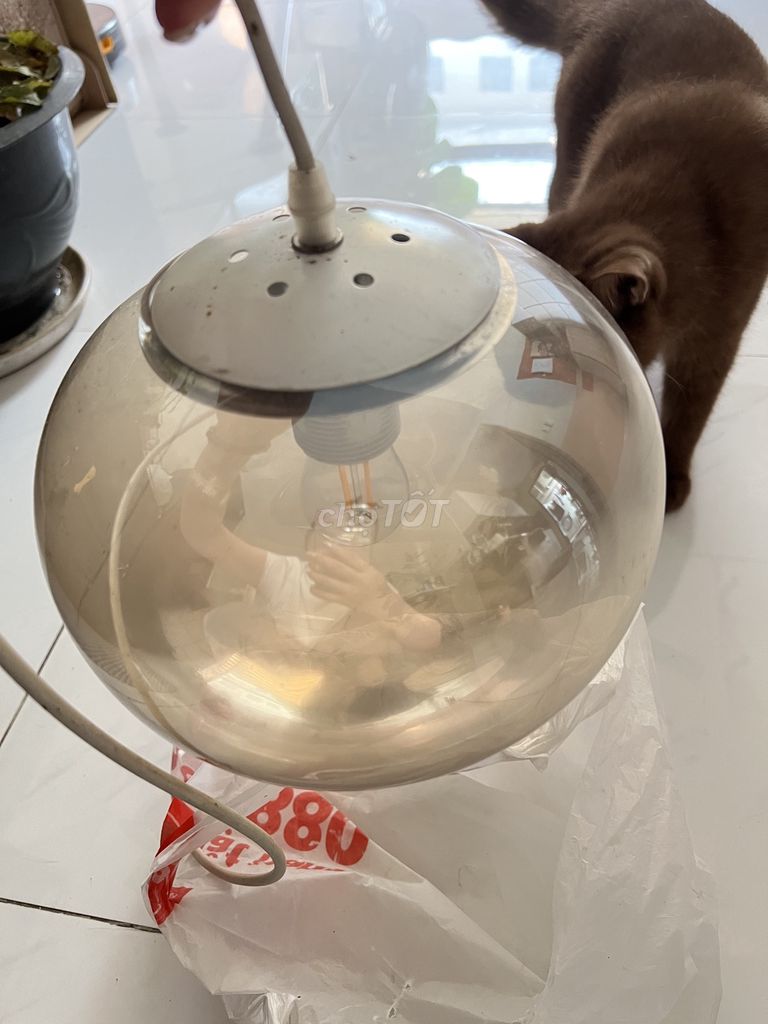 Đèn thả trần Thủy tinh Vàng đồng. Mua bán Đèn tại Quận 8 Tp Hồ Chí Minh được đăng bởi Tram Le hình 1