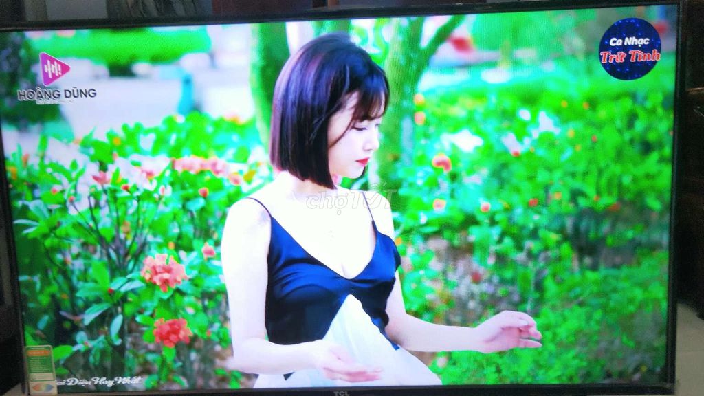 Smart TV TCL50IN 4K Giọng nói wifi YouTube nhanh. Mua bán Tivi, Âm thanh tại Huyện Bình Chánh Tp Hồ Chí Minh được đăng bởi pham quang vinh hình 1